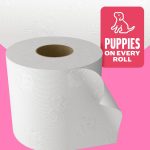 Andrex Family Soft Toilet Tissue 45 Rolls (Previously Andrex Gentle Clean) Gentle on your Family’s skin– Bulk Pack of 45 Toilet Rolls, FSC Certified  Amazon.co.uk: Grocery - Image 3